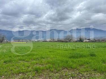 foto principale del terreno