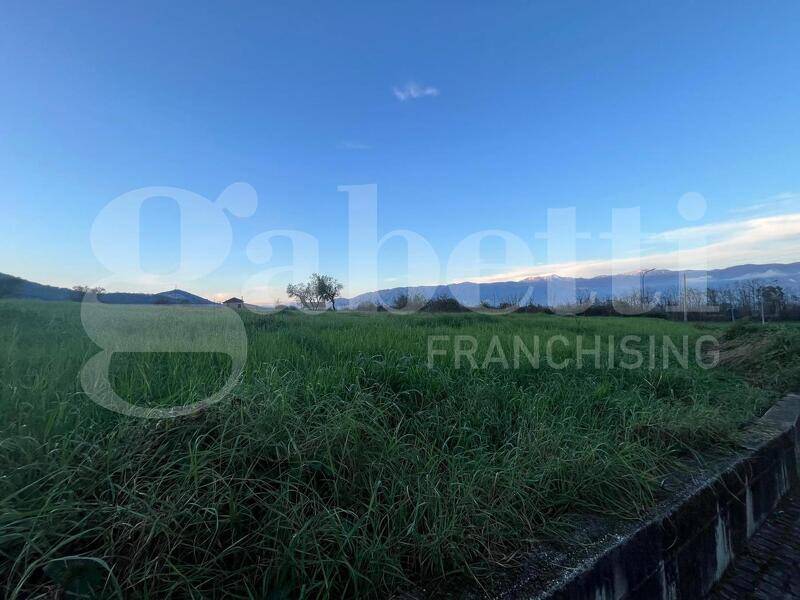 foto principale del terreno
