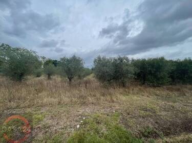 foto principale del terreno