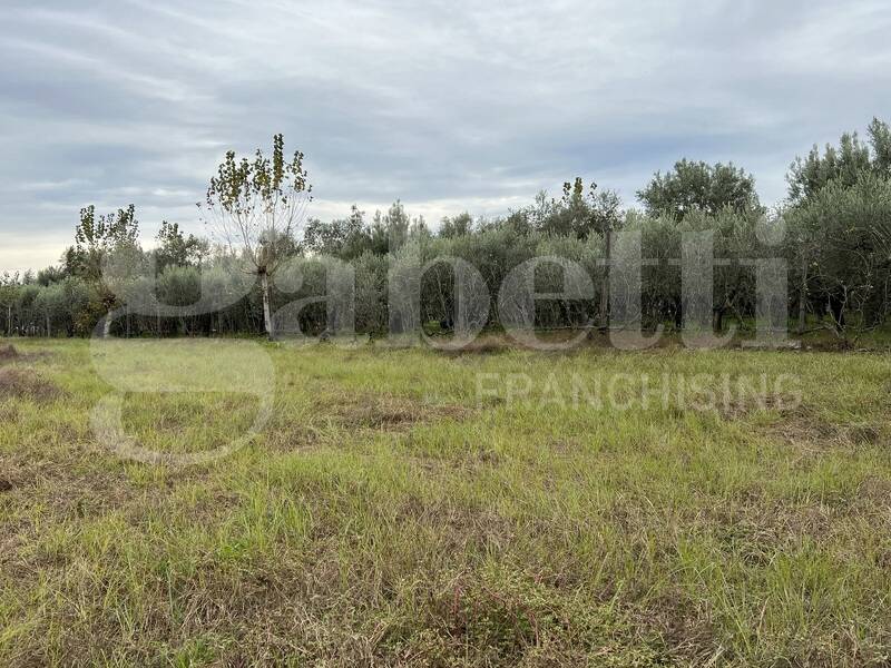 foto principale del terreno