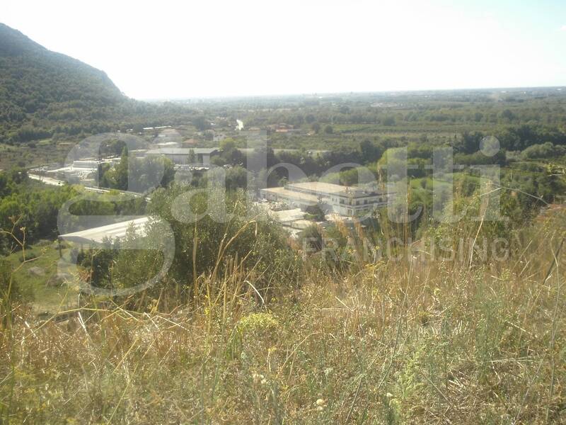 foto principale del terreno