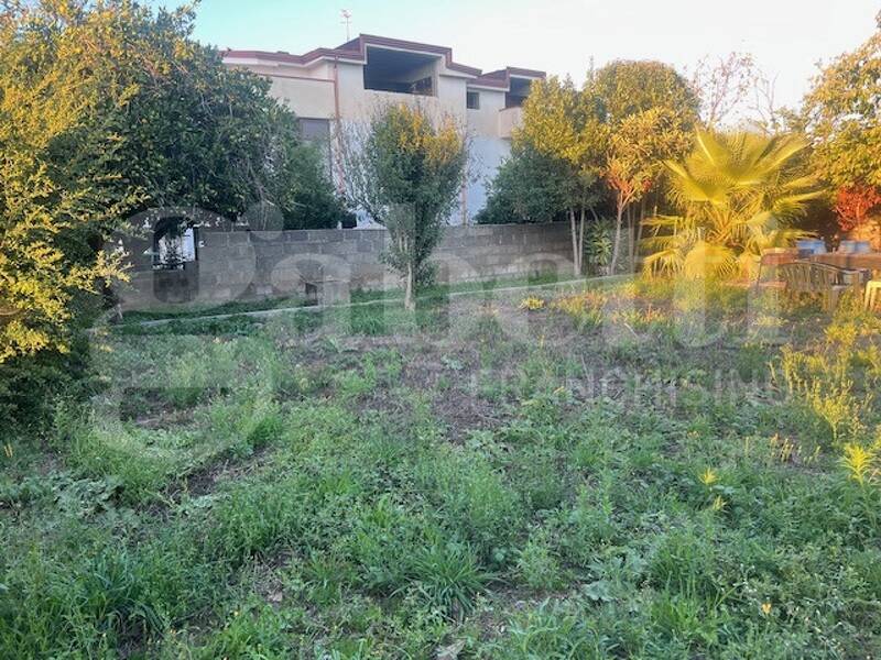 foto principale del terreno