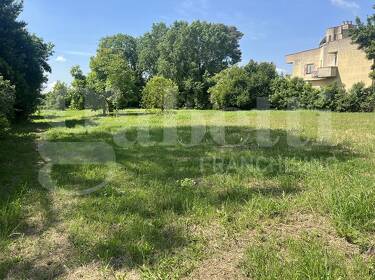 foto principale del terreno