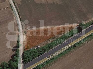 foto principale del terreno