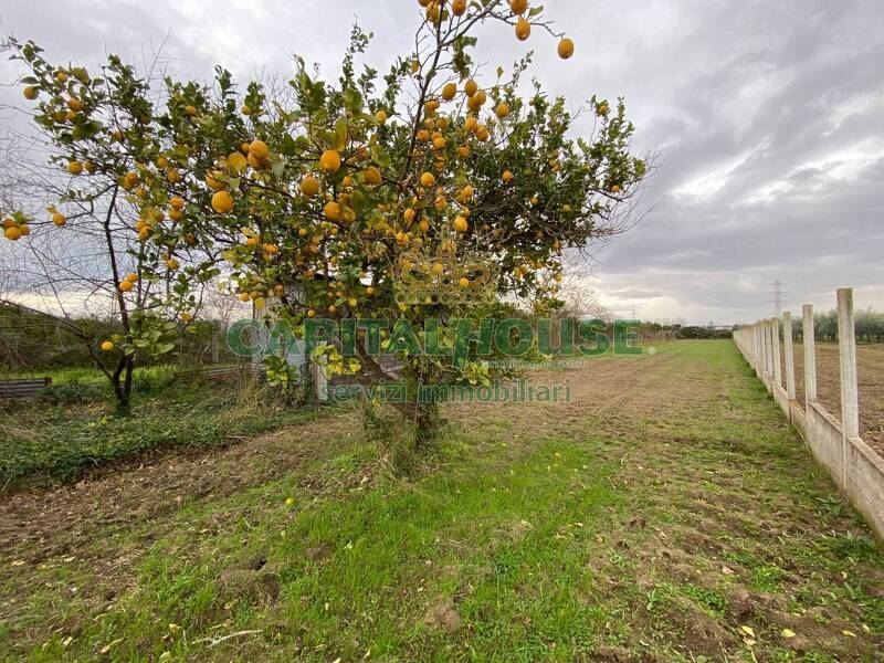 foto principale del terreno