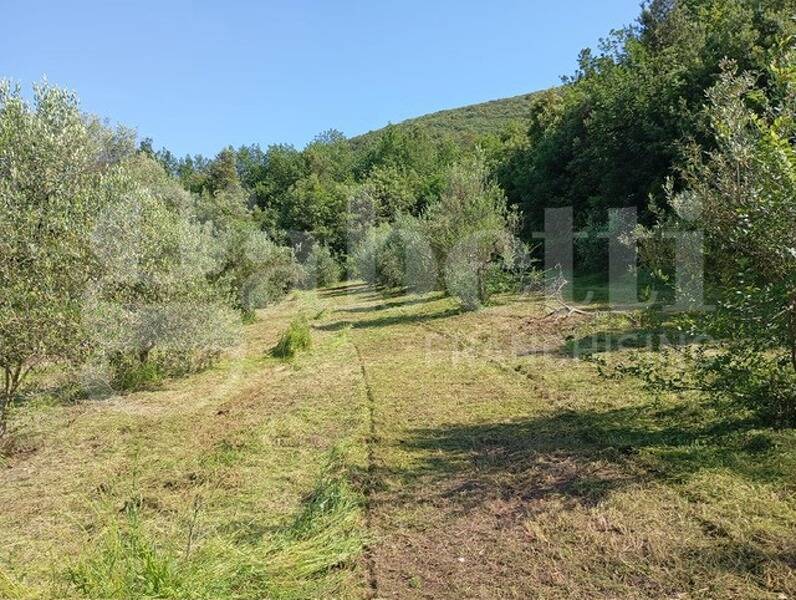foto principale del terreno