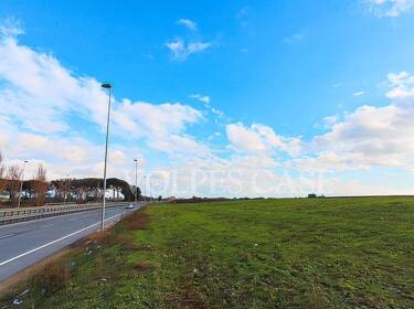 foto principale del terreno