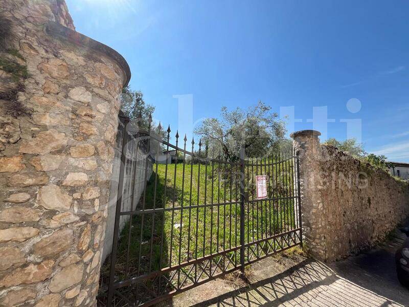 foto principale del terreno