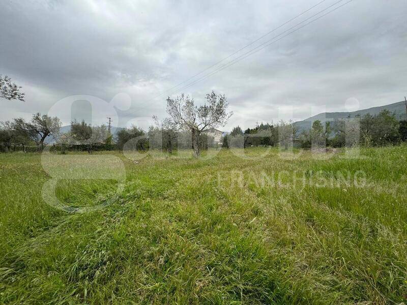 foto principale del terreno