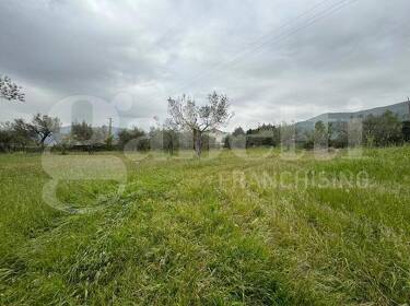 foto principale del terreno