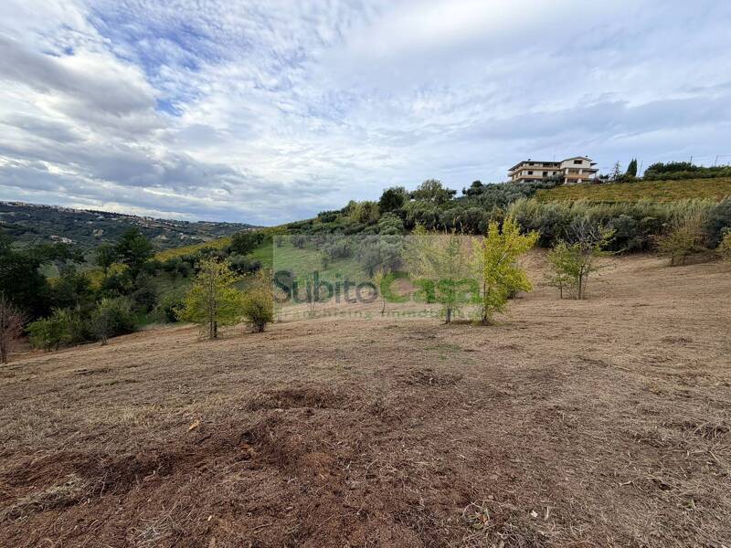 foto principale del terreno