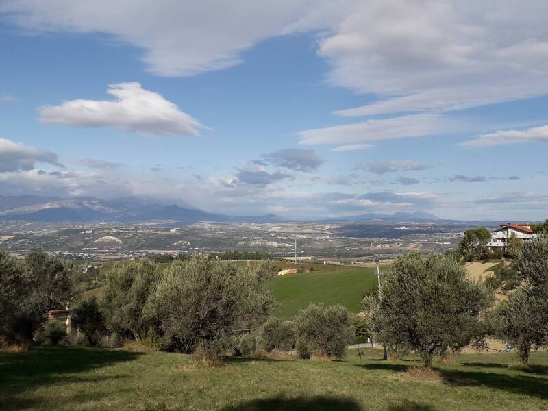 foto principale del terreno