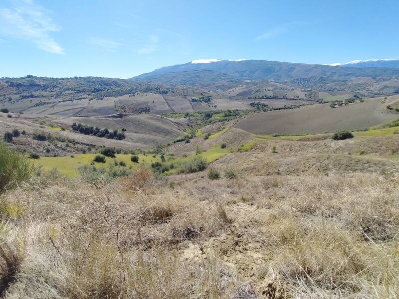 immagine annuncio 2 di 4