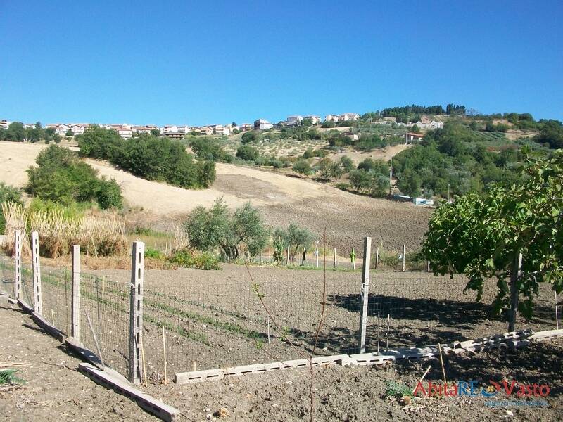 foto principale del terreno