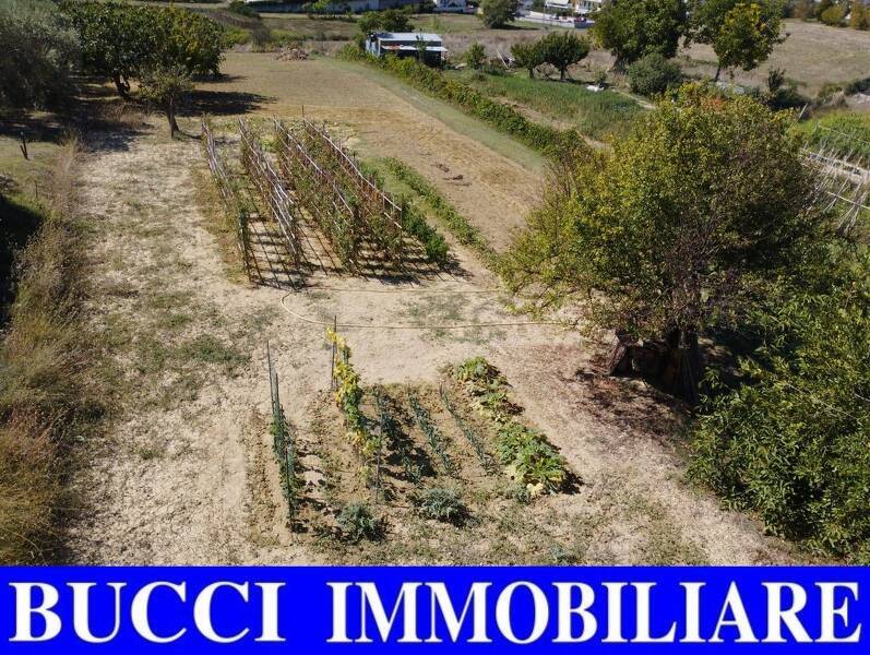 foto principale del terreno