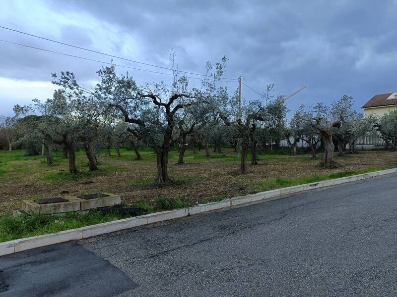 foto principale del terreno