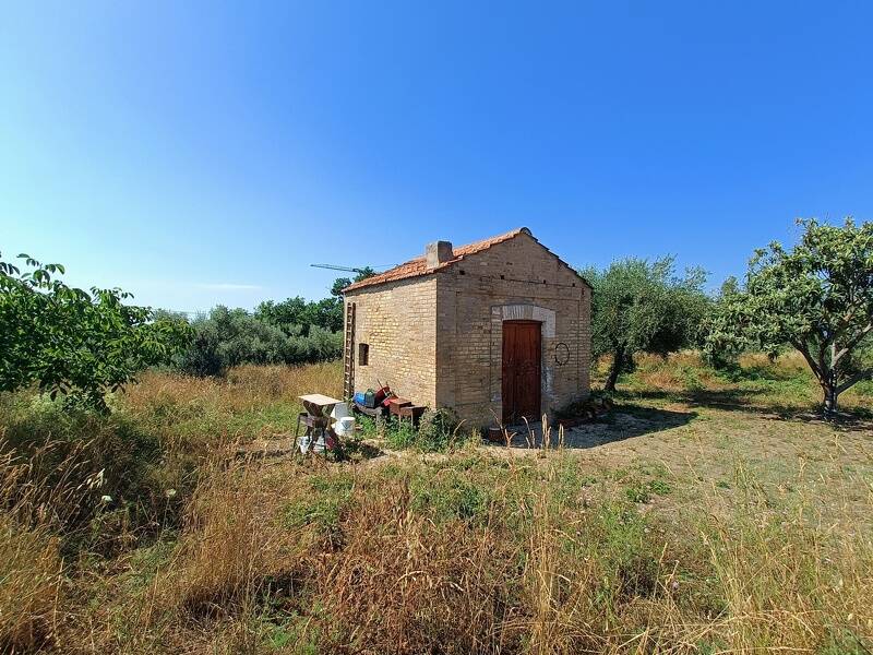 foto principale del terreno