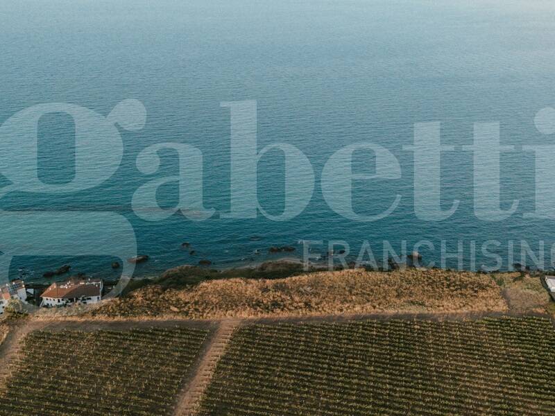 foto principale del terreno