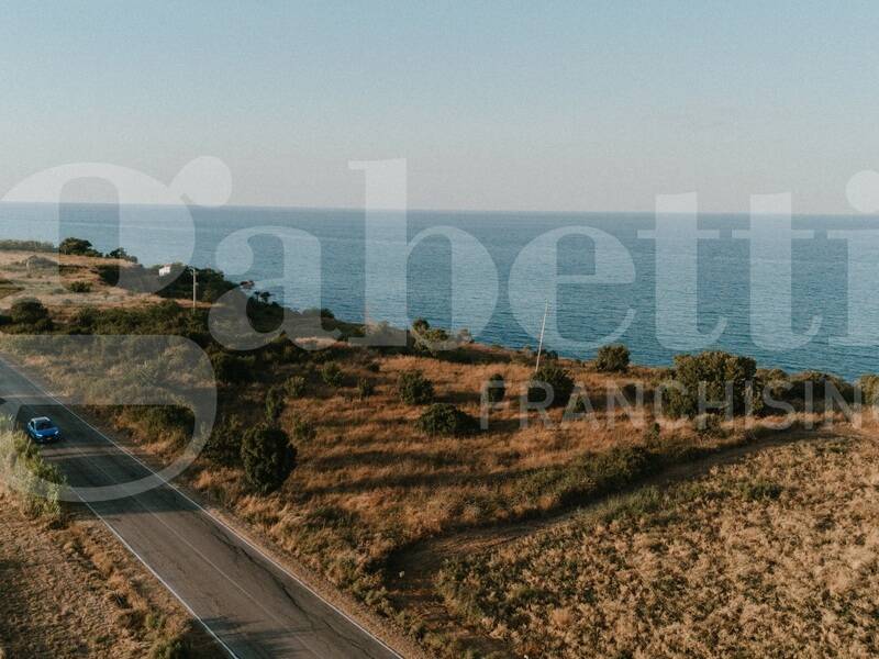 foto principale del terreno