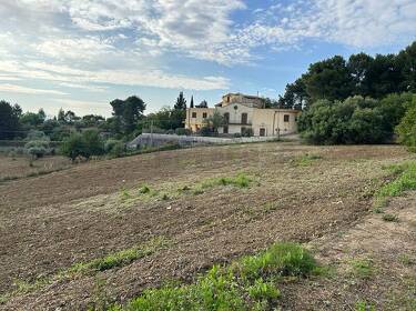 foto principale del terreno