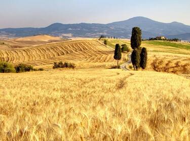 foto principale del terreno