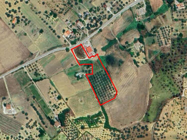 foto principale del terreno