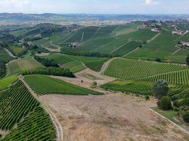 foto principale del terreno