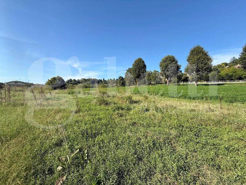 foto principale del terreno