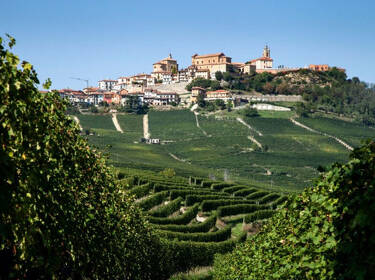 foto principale del terreno