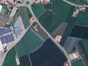 foto principale del terreno