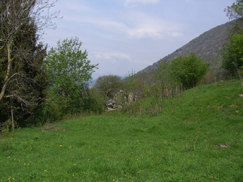 foto principale del terreno