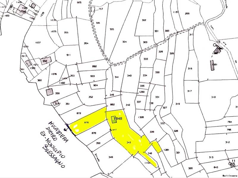 immagine annuncio 2 di 4