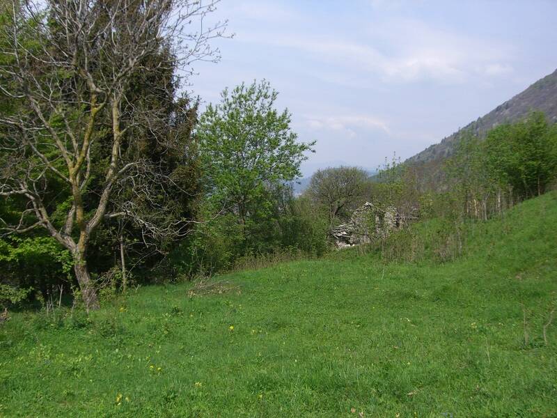 immagine annuncio 3 di 4