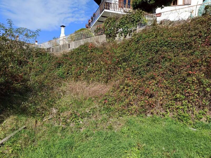 foto principale del terreno