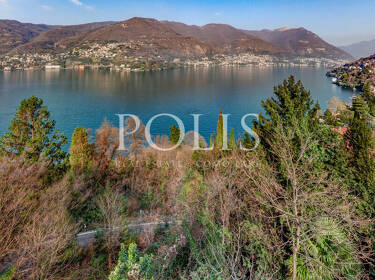 foto principale del terreno