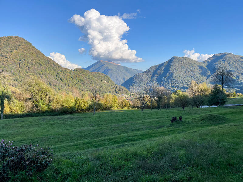 foto principale del terreno