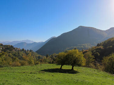 foto principale del terreno