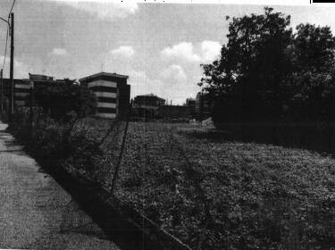 foto principale del terreno