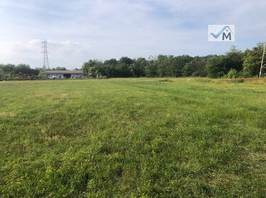 foto principale del terreno