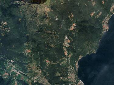 foto principale del terreno