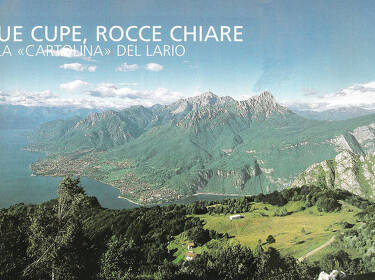 foto principale del terreno