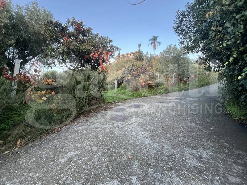 foto principale del terreno