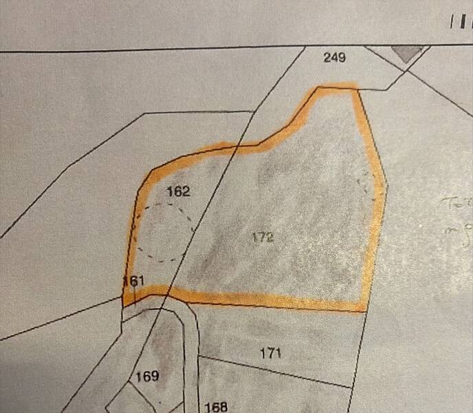 immagine annuncio 2 di 3