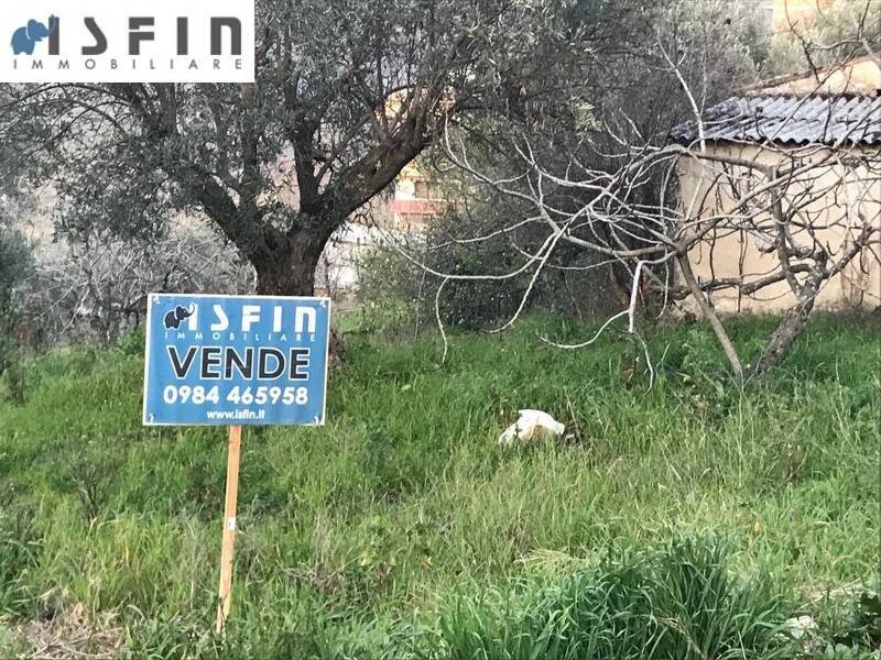 foto principale del terreno