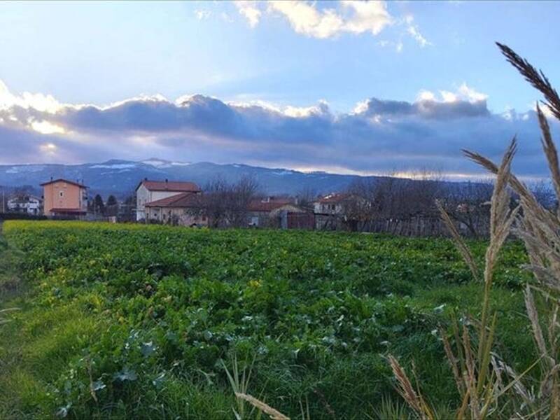 foto principale del terreno