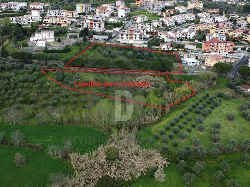 foto principale del terreno