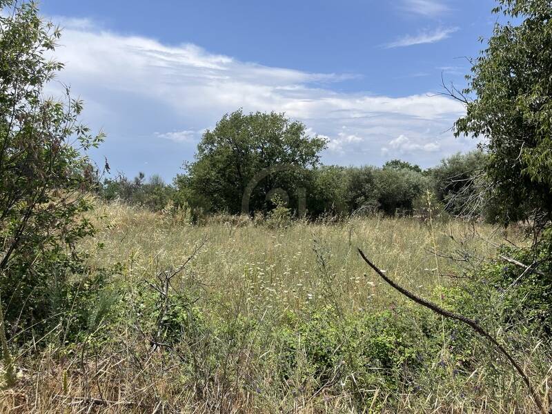 foto principale del terreno