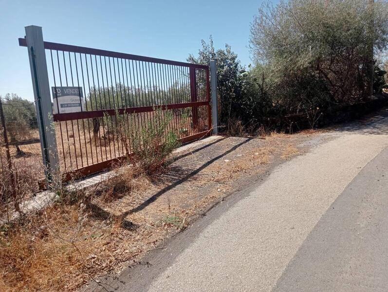 foto principale del terreno