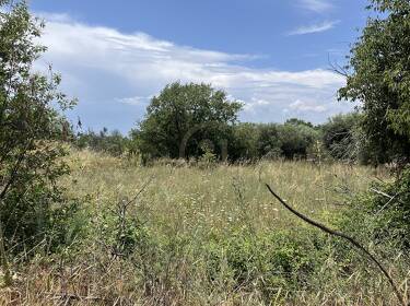 foto principale del terreno