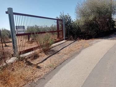 foto principale del terreno